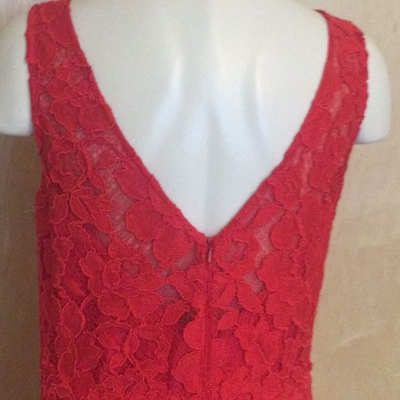 Monique Lhuillier Sleeveless Floral Lace Sheath - Picture 8 of 11